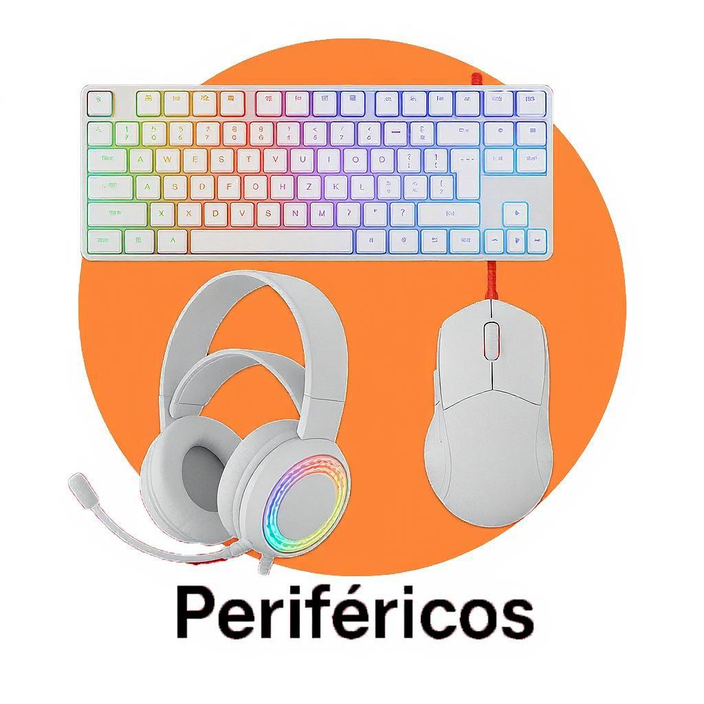Perifericos